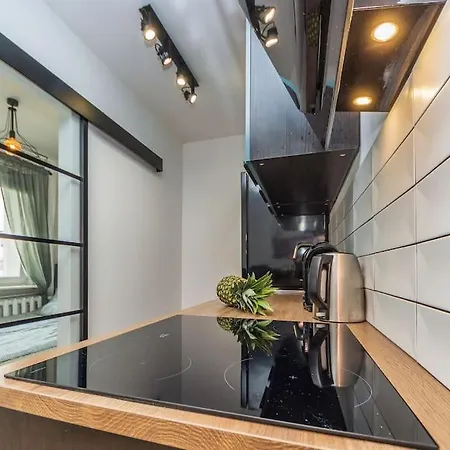 Hello Brzezno Dworska Dark Appartement Gdańsk