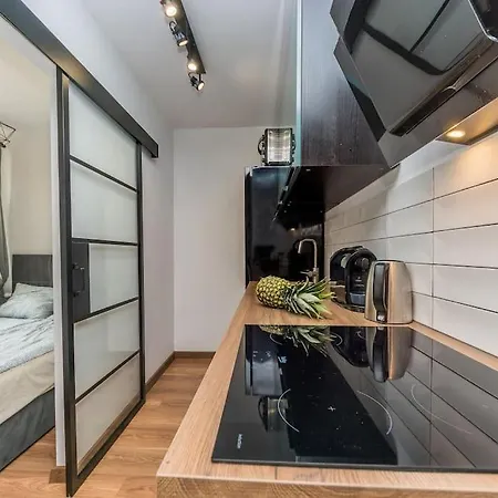 Appartement Hello Brzezno Dworska Dark *
