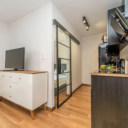 Hello Brzezno Dworska Dark 公寓 格但斯克