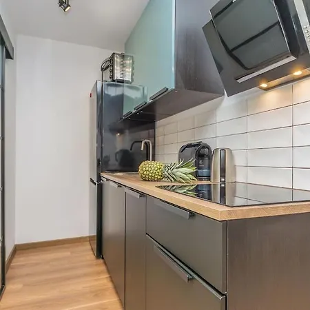 Appartement Hello Brzezno Dworska Dark