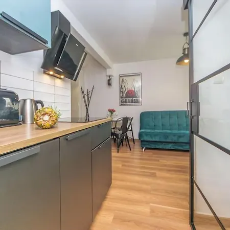 Appartement Hello Brzezno Dworska Dark