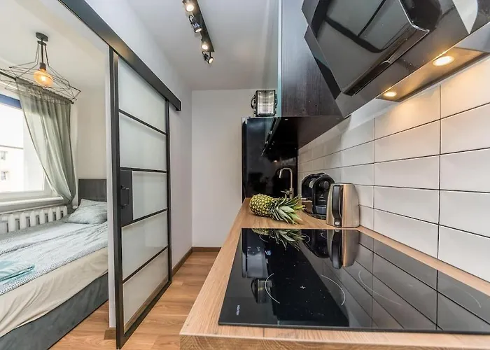 דירה Hello Brzezno Dworska Dark *